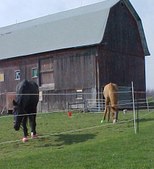 Enlarge photo 143