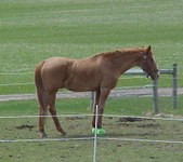 Enlarge photo 144