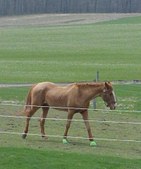 Enlarge photo 153