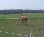 Enlarge photo 147