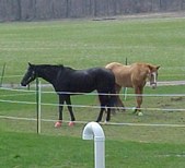 Enlarge photo 145