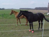 Enlarge photo 149
