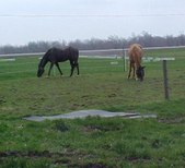 Enlarge photo 158