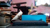 Enlarge photo 37
