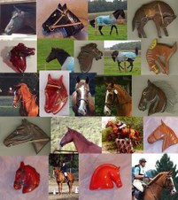 Enlarge photo 65