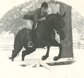 Favorite Sport