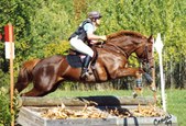 Enlarge photo 27