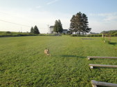 Enlarge photo 83
