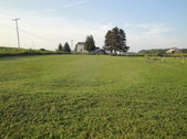 Enlarge photo 81