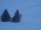 Enlarge photo 47