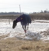 Enlarge photo 22