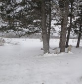 Enlarge photo 39