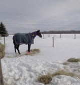 Enlarge photo 41