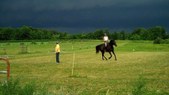 Enlarge photo 88