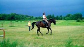 Enlarge photo 92