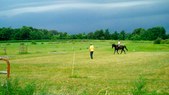 Enlarge photo 91