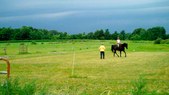 Enlarge photo 90