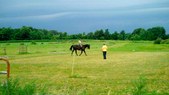 Enlarge photo 89