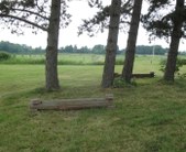 Enlarge photo 99