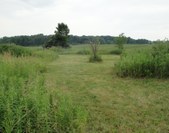 Enlarge photo 102