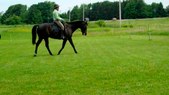 Enlarge photo 106