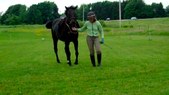 Enlarge photo 108