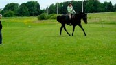 Enlarge photo 117