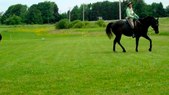 Enlarge photo 116