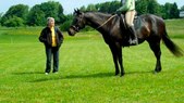 Enlarge photo 115