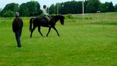 Enlarge photo 113