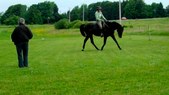 Enlarge photo 112