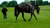 Enlarge photo 111