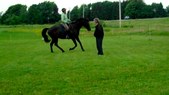 Enlarge photo 110