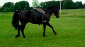 Enlarge photo 109