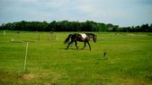 Enlarge photo 105