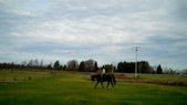 Enlarge photo 56