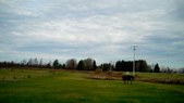 Enlarge photo 57
