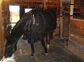 Enlarge photo 71