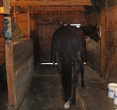 Enlarge photo 73