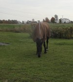 Enlarge photo 80