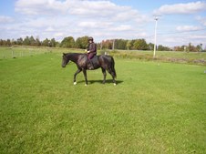 Enlarge photo 29