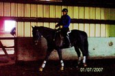 Enlarge photo 310