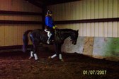 Enlarge photo 313