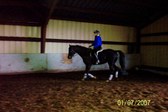 Enlarge photo 315