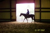 Enlarge photo 318