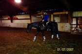 Enlarge photo 322
