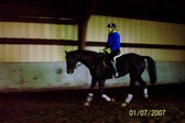 Enlarge photo 326