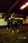 Enlarge photo 329