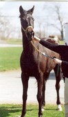 Enlarge photo 129
