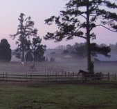 Enlarge photo 384